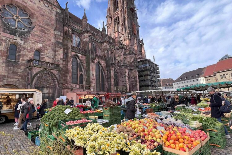 Marktfest auf dem Münstermarkt Freiburg